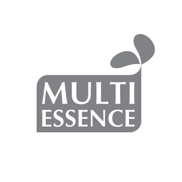 Multi-Essence